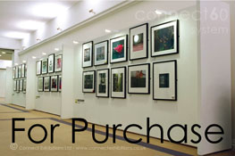 Purchase, Purchasing, Buying, Buy, Uk, British - Exhibition Board, Exhibitions Boards, Exhibition Boarding